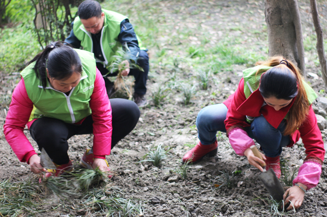  Tree-planting Day in 2016
